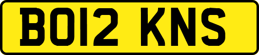 BO12KNS