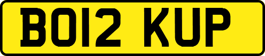 BO12KUP