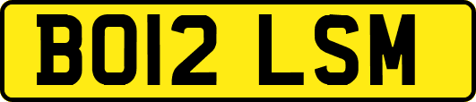 BO12LSM
