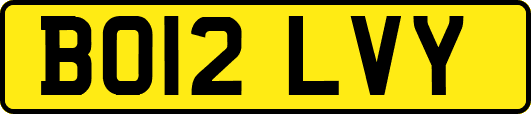 BO12LVY