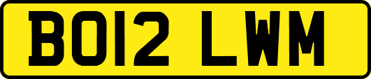 BO12LWM