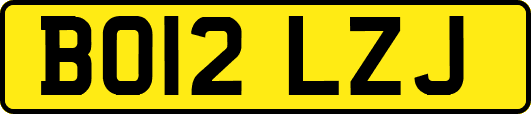 BO12LZJ