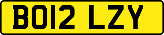 BO12LZY