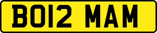 BO12MAM