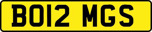 BO12MGS