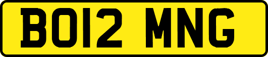 BO12MNG