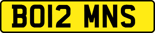 BO12MNS