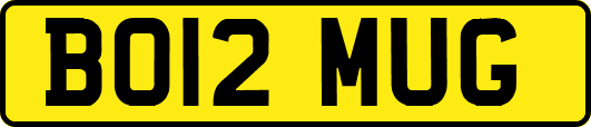 BO12MUG