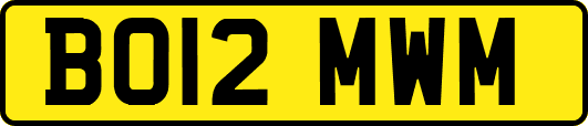 BO12MWM