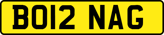 BO12NAG