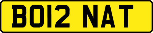 BO12NAT