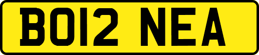 BO12NEA
