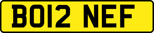 BO12NEF
