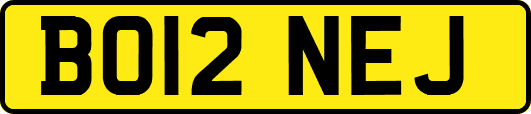 BO12NEJ