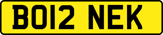 BO12NEK