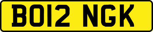 BO12NGK
