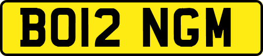 BO12NGM