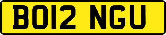 BO12NGU