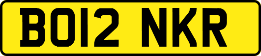 BO12NKR