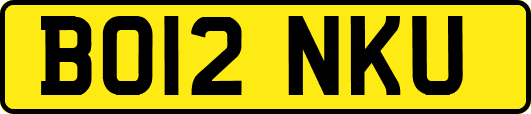 BO12NKU