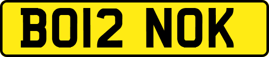BO12NOK