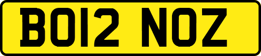 BO12NOZ