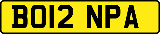 BO12NPA
