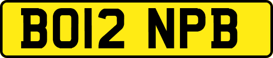 BO12NPB