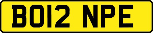 BO12NPE