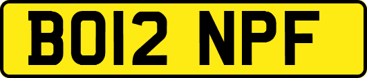 BO12NPF
