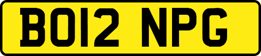 BO12NPG