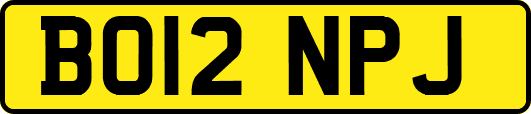 BO12NPJ