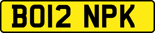 BO12NPK