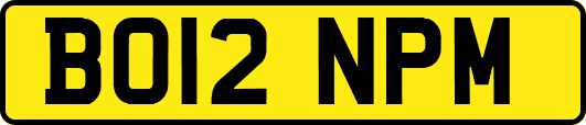 BO12NPM