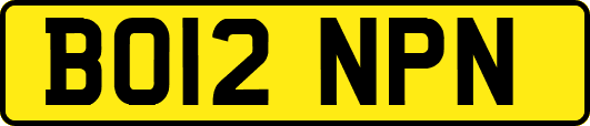 BO12NPN