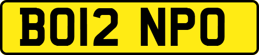 BO12NPO