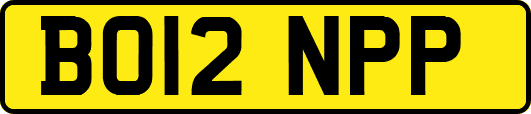 BO12NPP