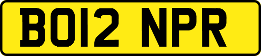 BO12NPR