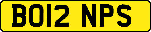 BO12NPS