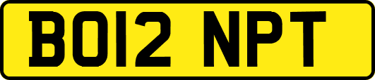 BO12NPT