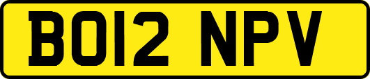 BO12NPV