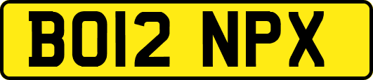 BO12NPX