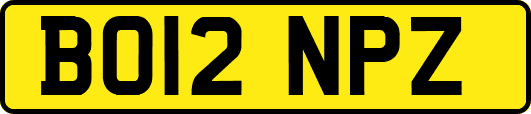 BO12NPZ
