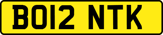 BO12NTK