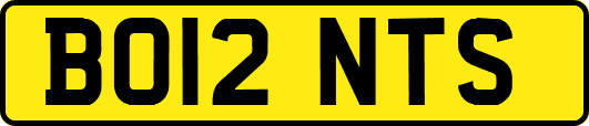 BO12NTS