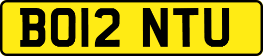 BO12NTU