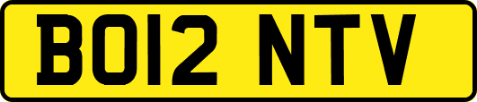 BO12NTV