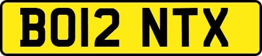 BO12NTX
