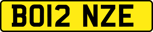 BO12NZE