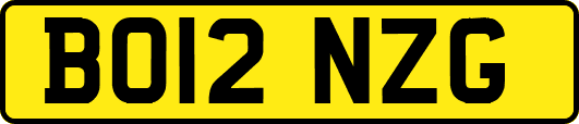 BO12NZG